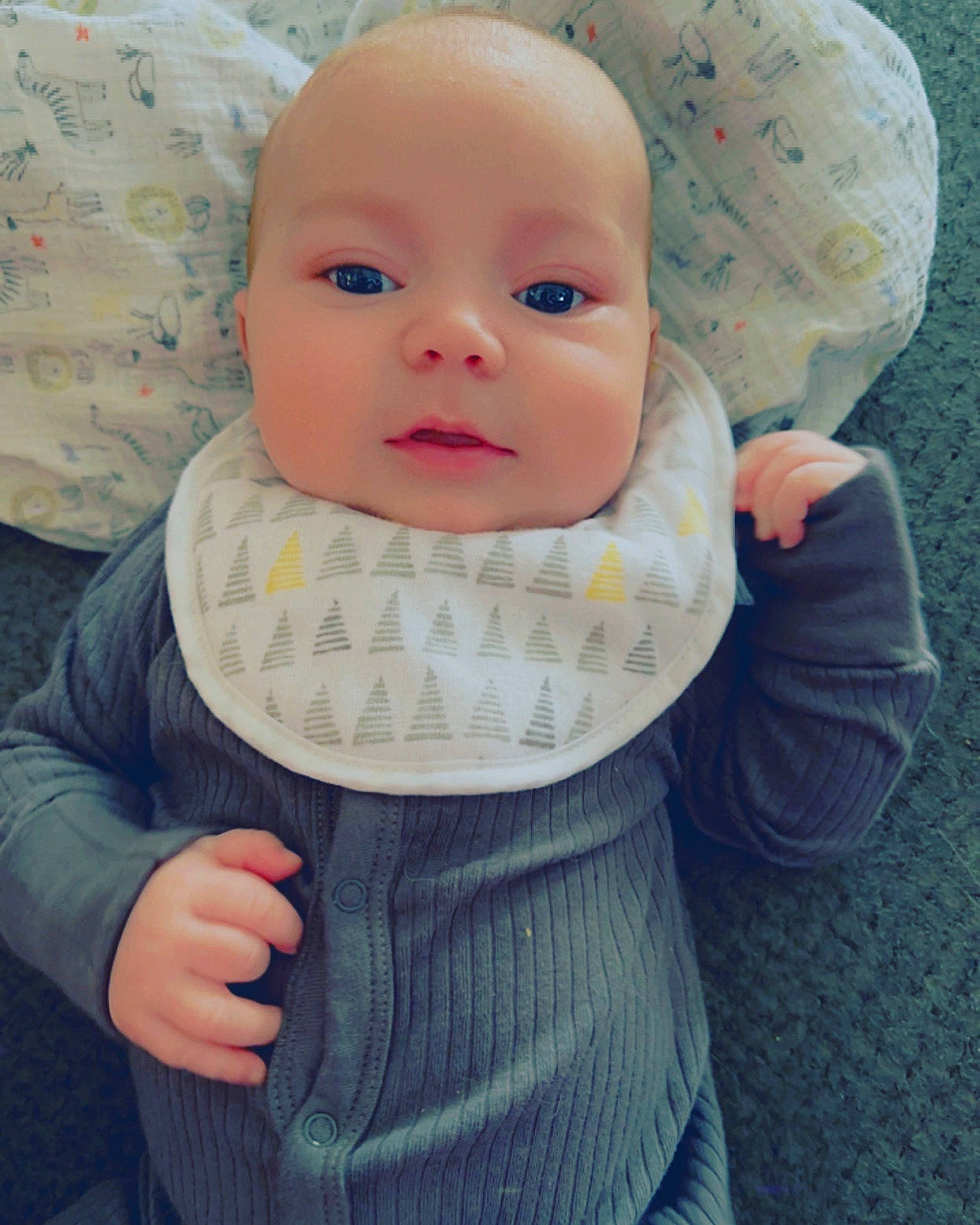 Colton