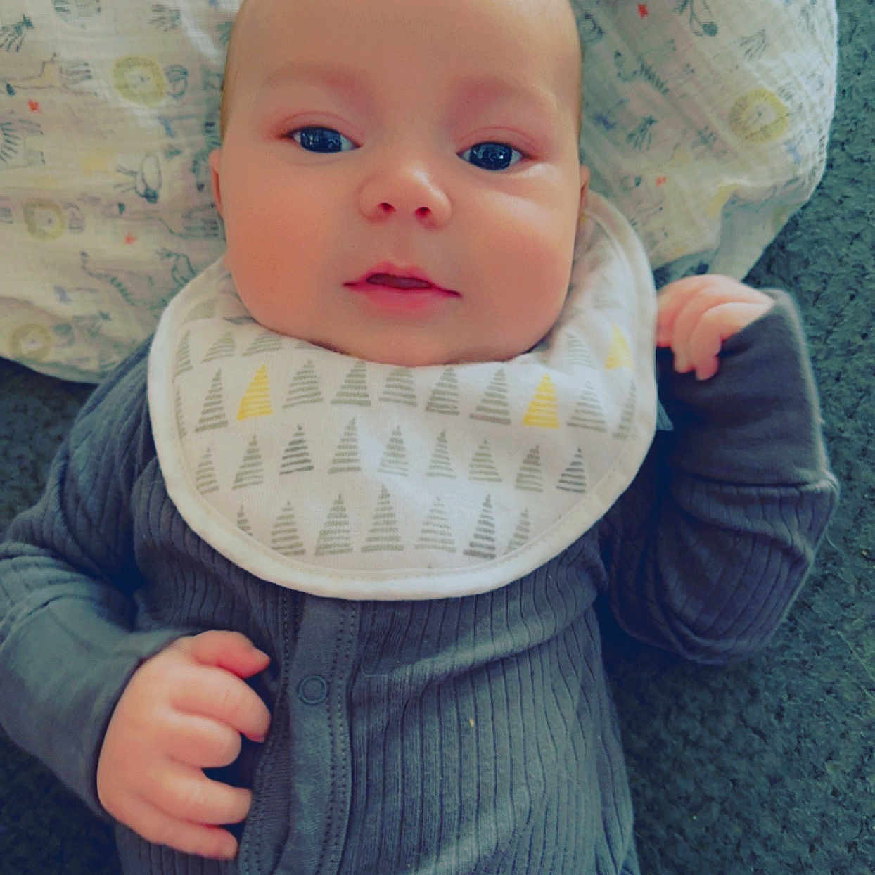 Colton
