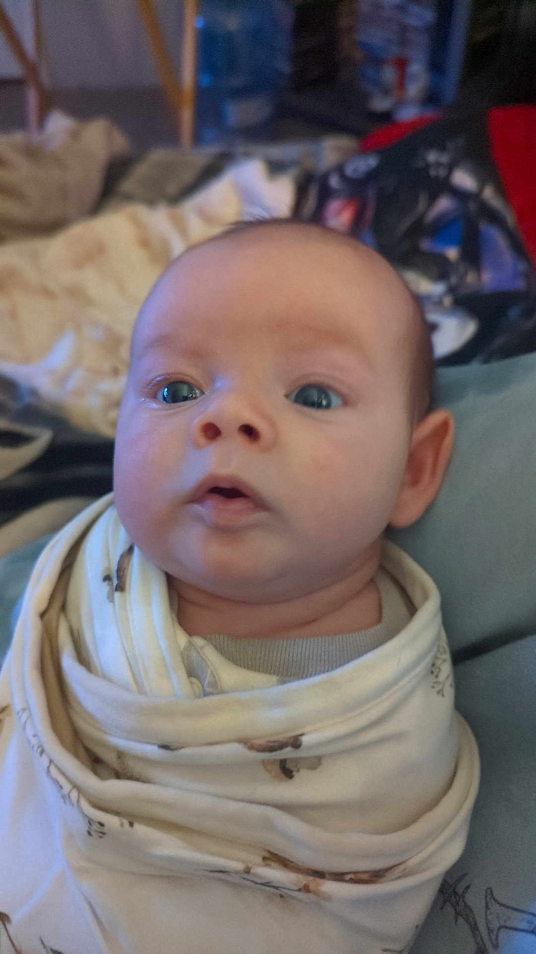 Emri joined the competition — help win amazing prizes! baby, infant, wrapped, blanket, face, blue_eyes, curious, indoors, portrait, close_up, child, soft, cozy, swaddled, expression, young, person, head, skin, couch