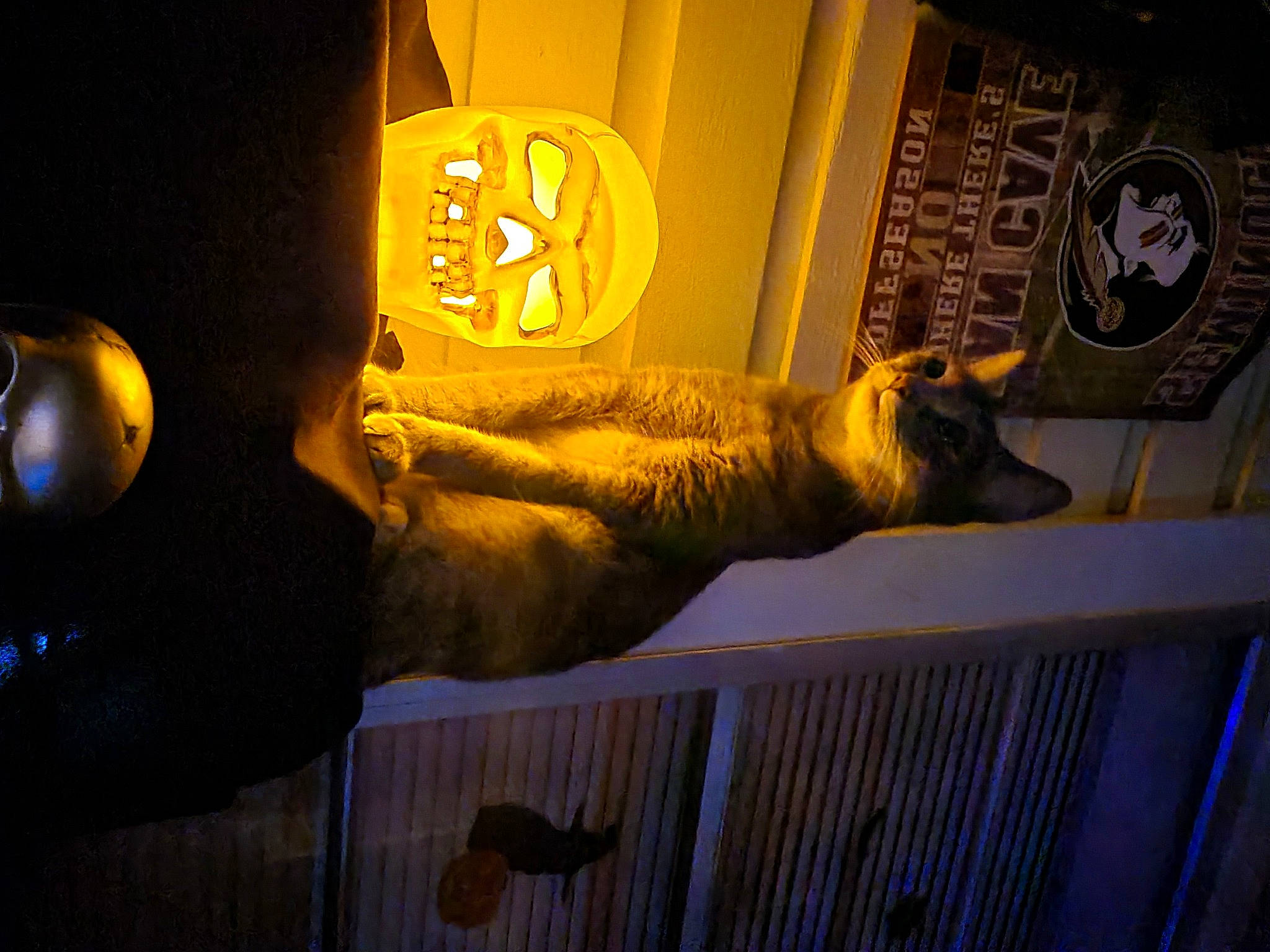 Kiki joined the competition — help win amazing prizes! amber, art, cat, darkness, door, felidae, fur, heat, human_leg, night, reflection, room, shadow, sky, small_to_medium_sized_cats, tail, tints_and_shades, visual_arts, whiskers, wood