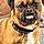 Tucker