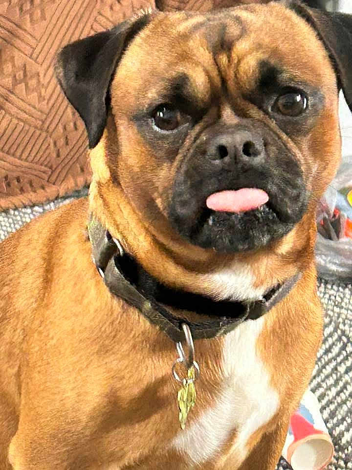 Tucker