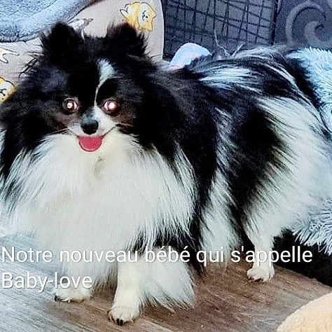 Baby-love