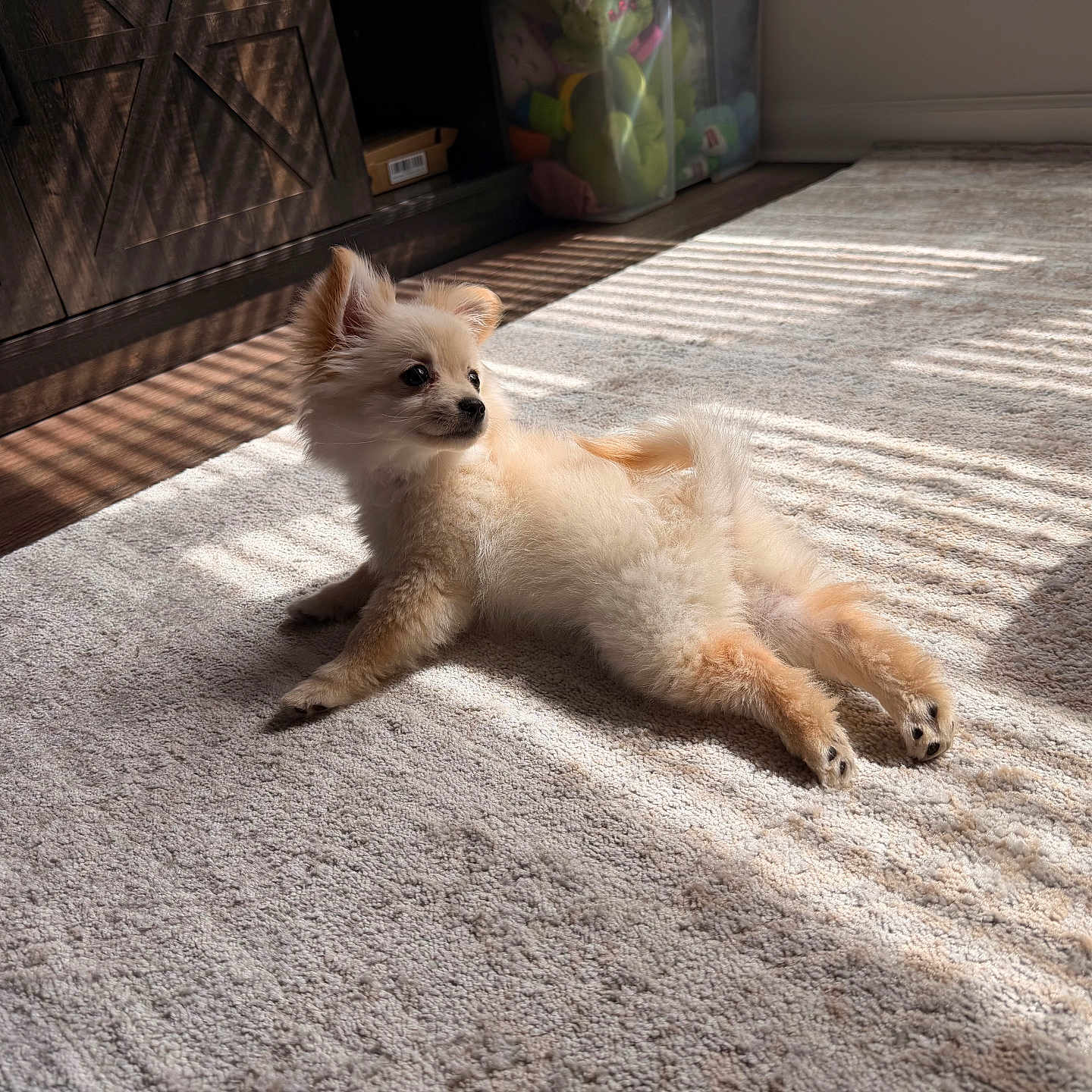 Benito