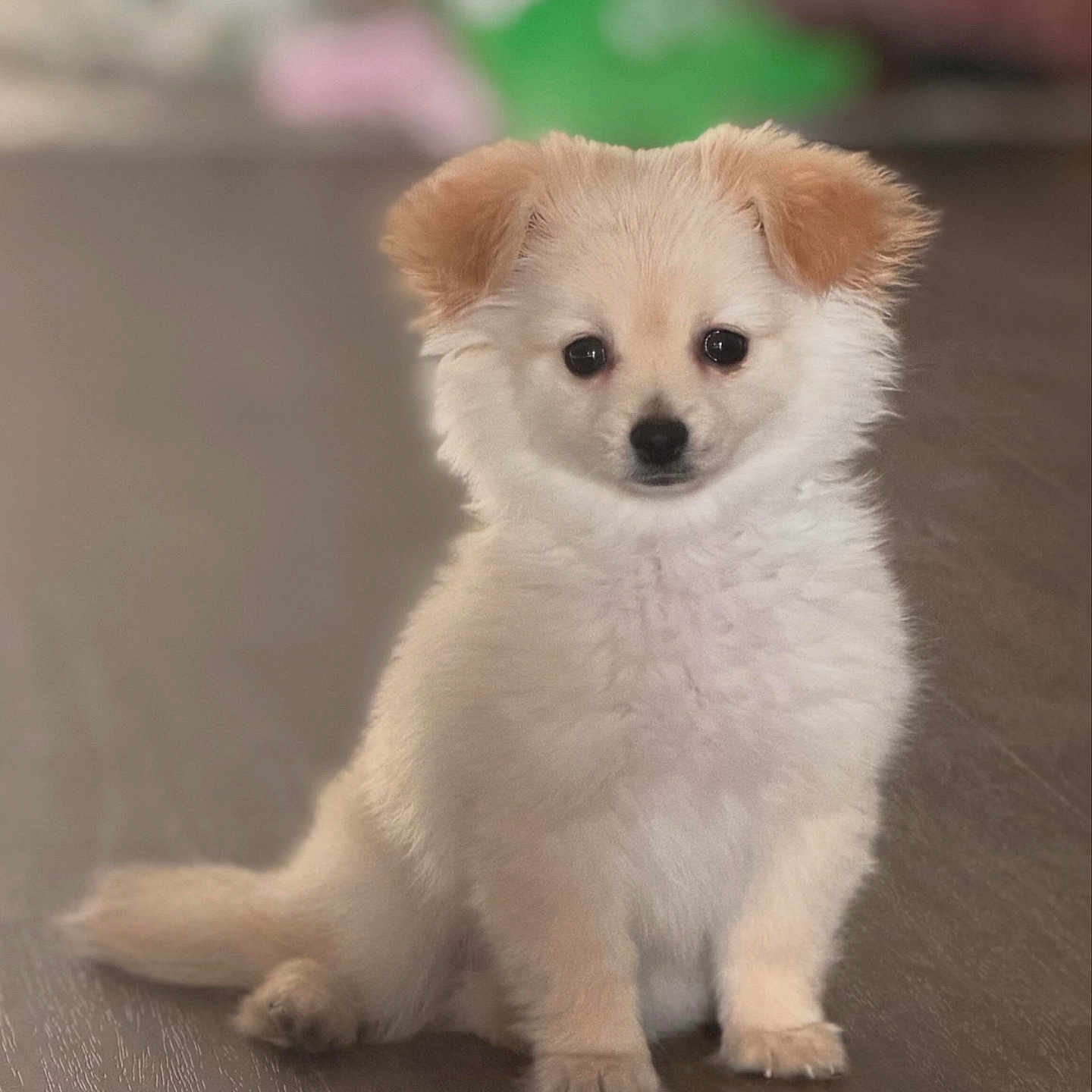 Benito