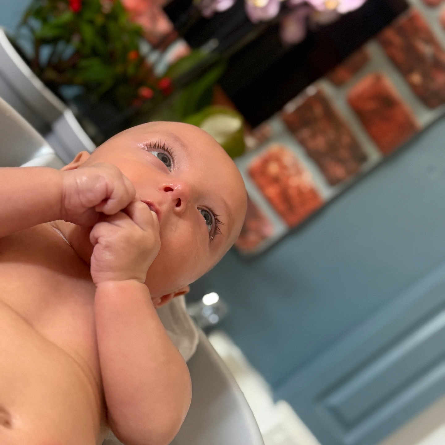 Eris is registered to the contest to win money with this photo: baby, bath, blue_wall, brick_wall, child, cute, eyes, face, flower, hand, indoor, infant, newborn, plant, portrait, relaxation, skin, thoughtful, tub, water