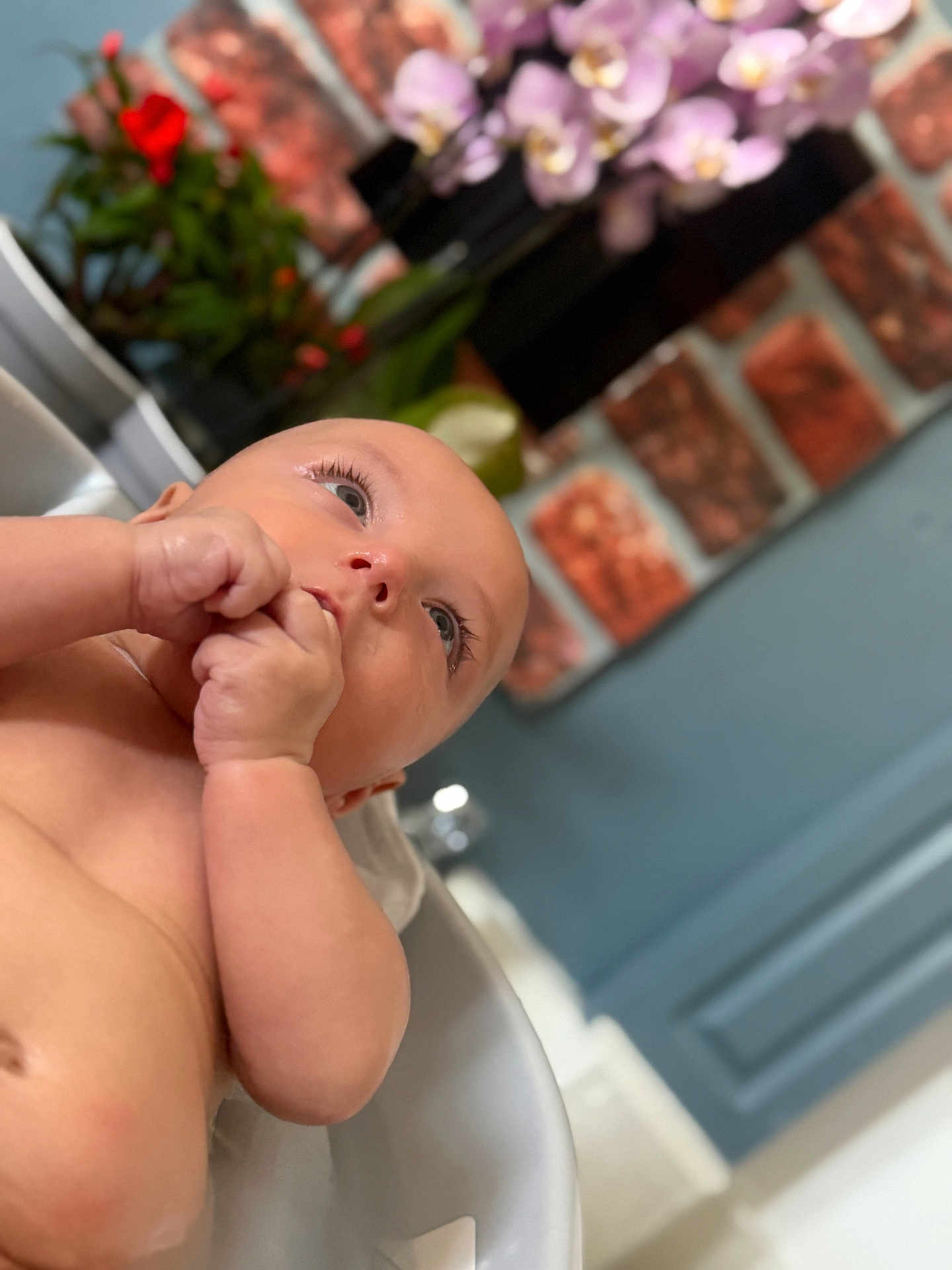 Eris is registered to the contest to win money with this photo: baby, infant, bath, water, skin, hand, face, eyes, indoor, flower, plant, brick_wall, blue_wall, tub, relaxation, cute, portrait, child, newborn, thoughtful