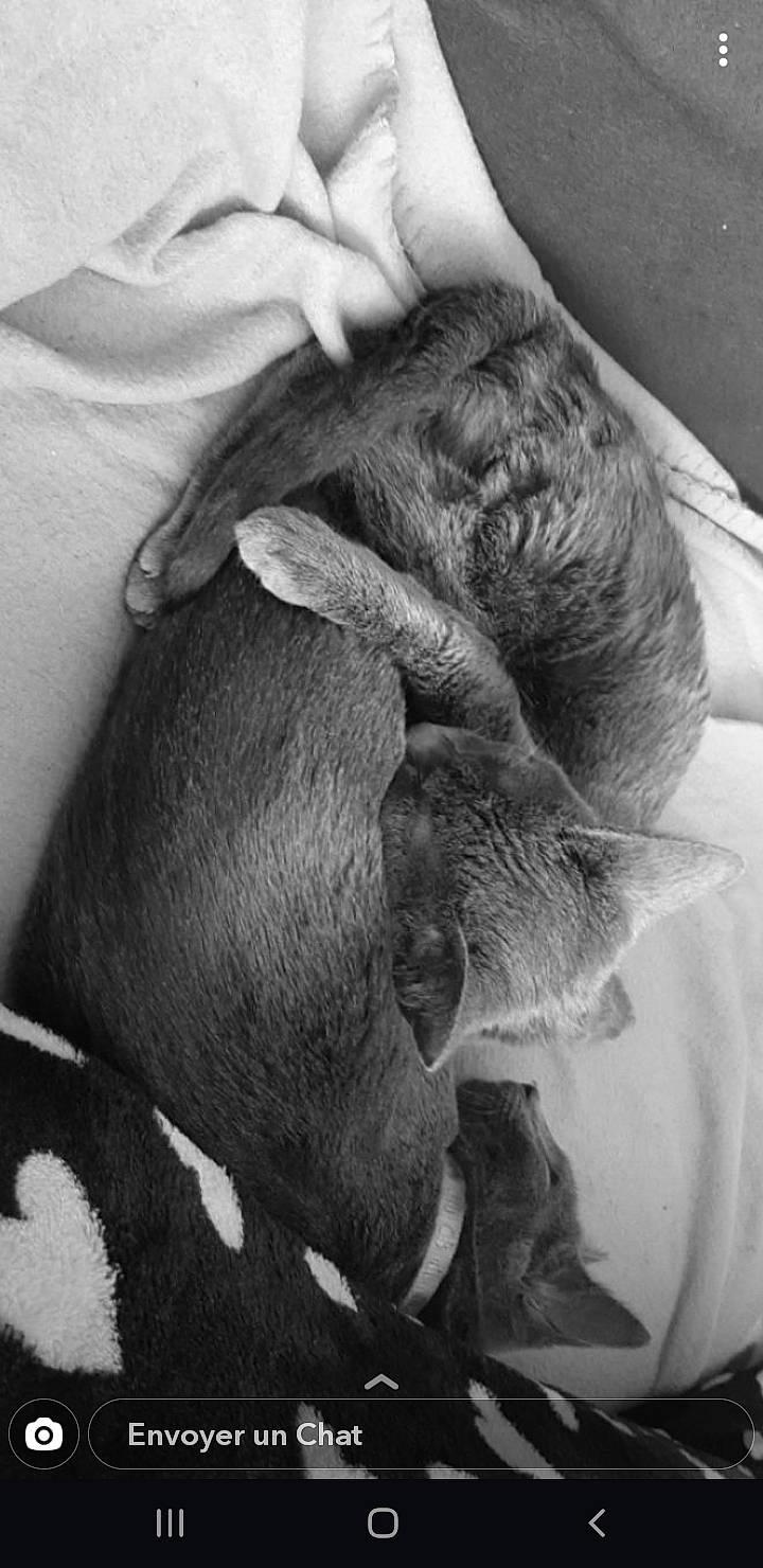 Fripouille participe au concours pour gagner de l'argent avec cette photo : birth, black_and_white, child, childbirth, common_chimpanzee, ear, hand, human, nap, organism, primate, wrinkle