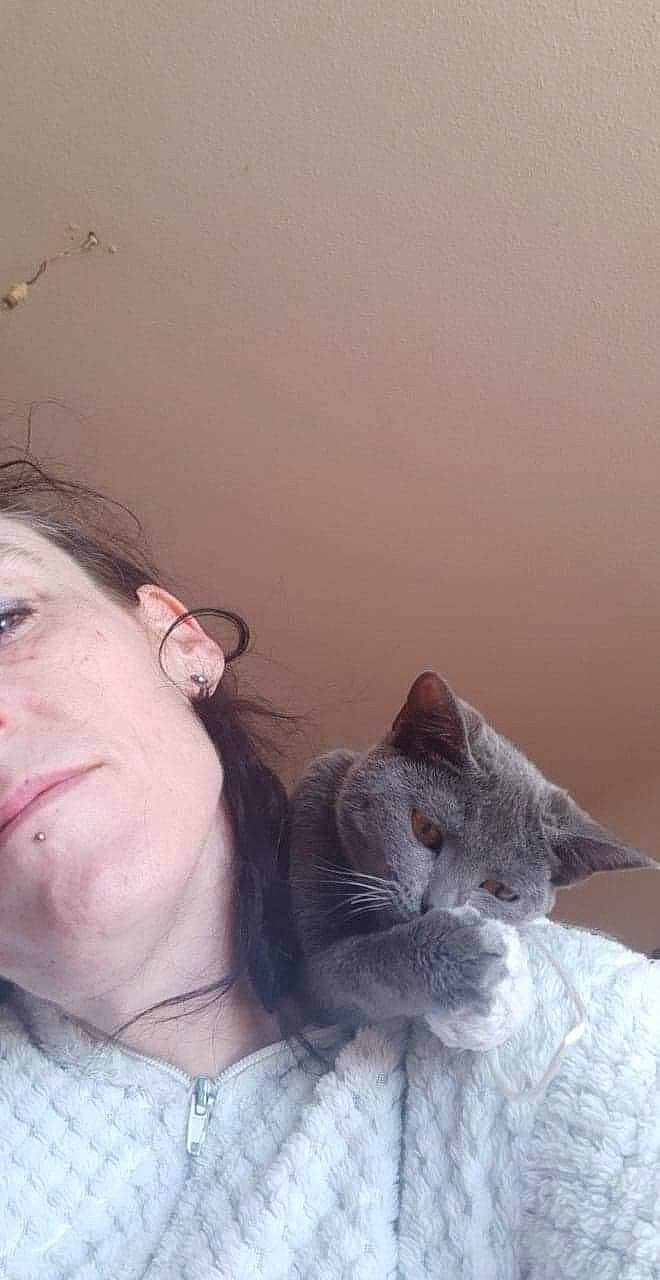 Fripouille participe au concours pour gagner de l'argent avec cette photo : british_longhair, british_shorthair, carnivore, cat, chartreux, domestic_short_haired_cat, ear, european_shorthair, eye, felidae, forehead, fur, nebelung, nose, russian_blue, skin, small_to_medium_sized_cats, snout, whiskers