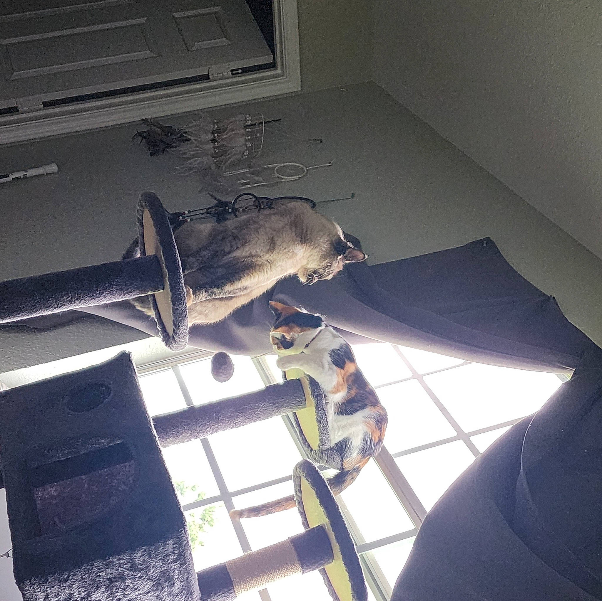 Tigger joined the competition — help win amazing prizes! aerospace_engineering, art, aviation, computer, display_device, eyewear, flooring, metal, room, shadow, space, square, tail, tints_and_shades, toy, visual_arts, wing