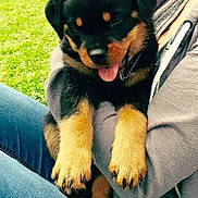 Thor is registered to the contest to win money with this photo: