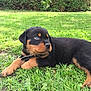 Thor is registered to the contest to win money with this photo: