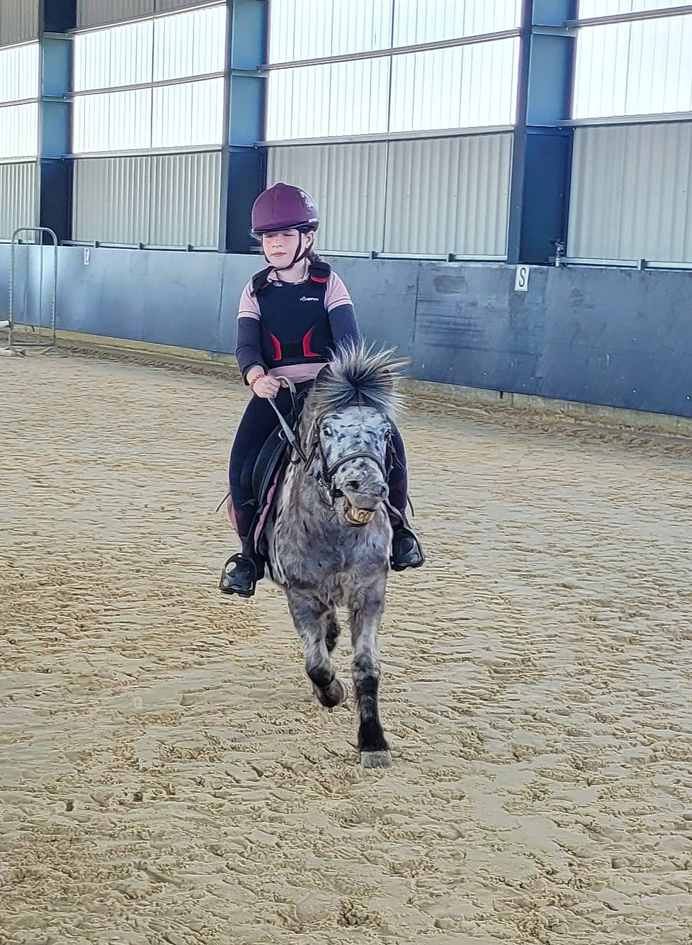 Emma a rejoint le concours — aidez-le/la à gagner de superbes lots ! animal_sports, automotive_tire, bridle, english_riding, equestrian_sport, equestrianism, equitation, headwear, helmet, horse, horse_supplies, horse_tack, livestock, mane, mare, pack_animal, person, rein, riding_boot, saddle