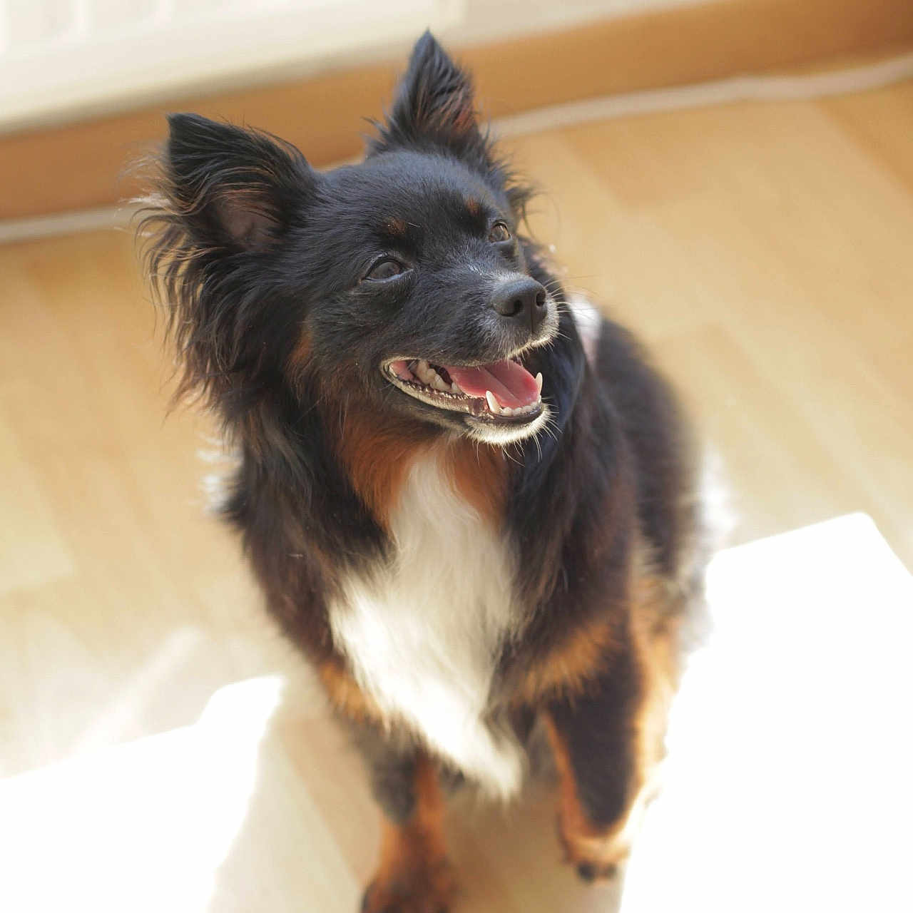 Kira