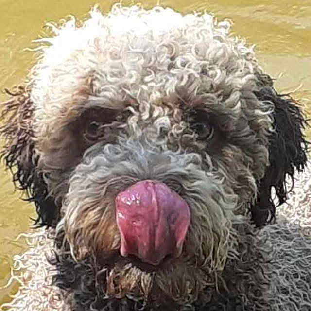 Titus