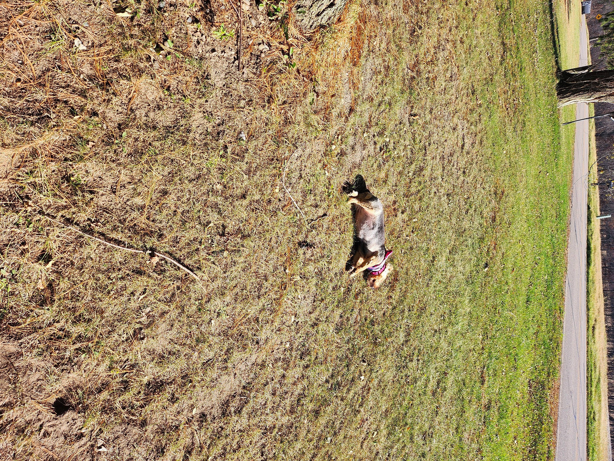 Krissy is registered to the contest to win money with this photo: adventure, bedrock, field, fun, grass, grassland, groundcover, landscape, leisure, people_in_nature, plant, recreation, rock, shadow, shrub, slope, soil, tree, trunk, wood