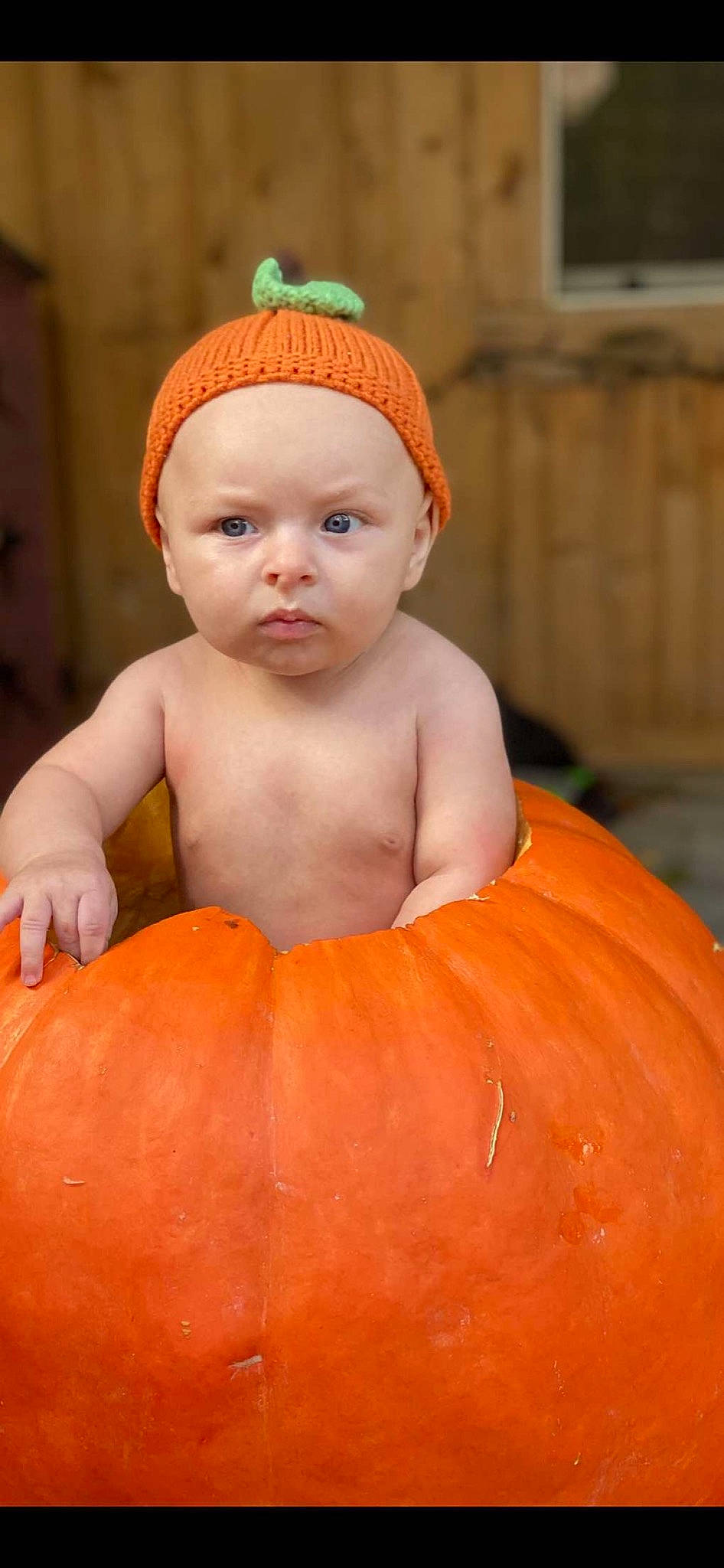 Lance is registered to the contest to win money with this photo: _and_melon_family, _gourd, baby, calabaza, child, cucumber, cucurbita, face, food, fruit, gourd, head, headwear, orange, person, plant, produce, pumpkin, squash, toddler