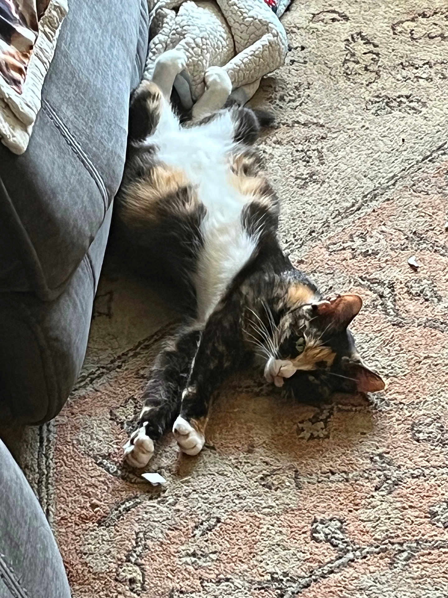 Patches