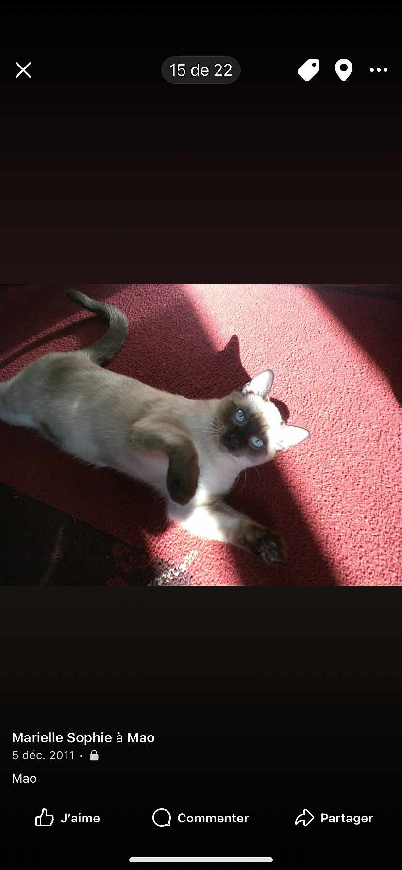 Mao