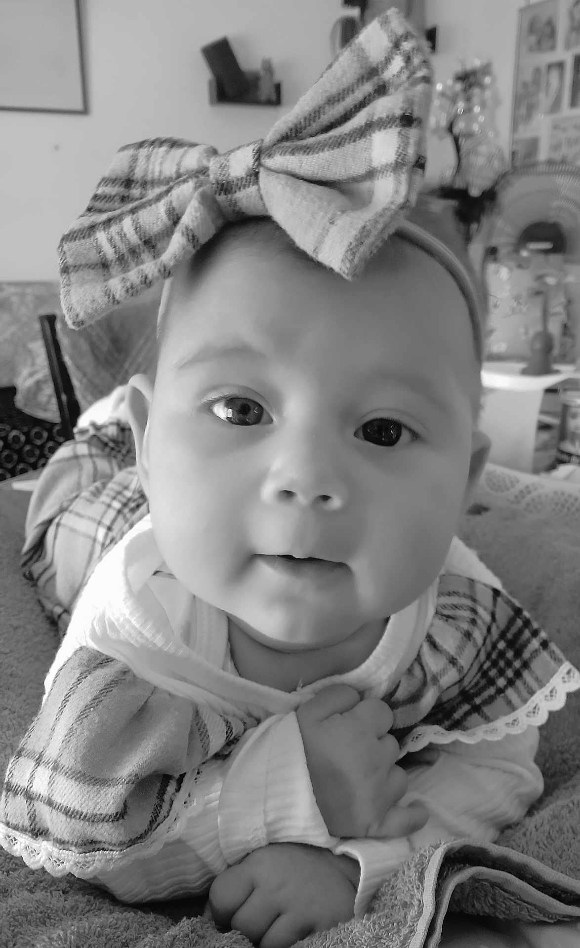 Lilly participe au concours pour gagner de l'argent avec cette photo : baby, bow, plaid, blanket, face, infant, closeup, portrait, indoor, cute, child, clothing, headband, soft, expression, small_hands, resting, monochrome, cozy, young