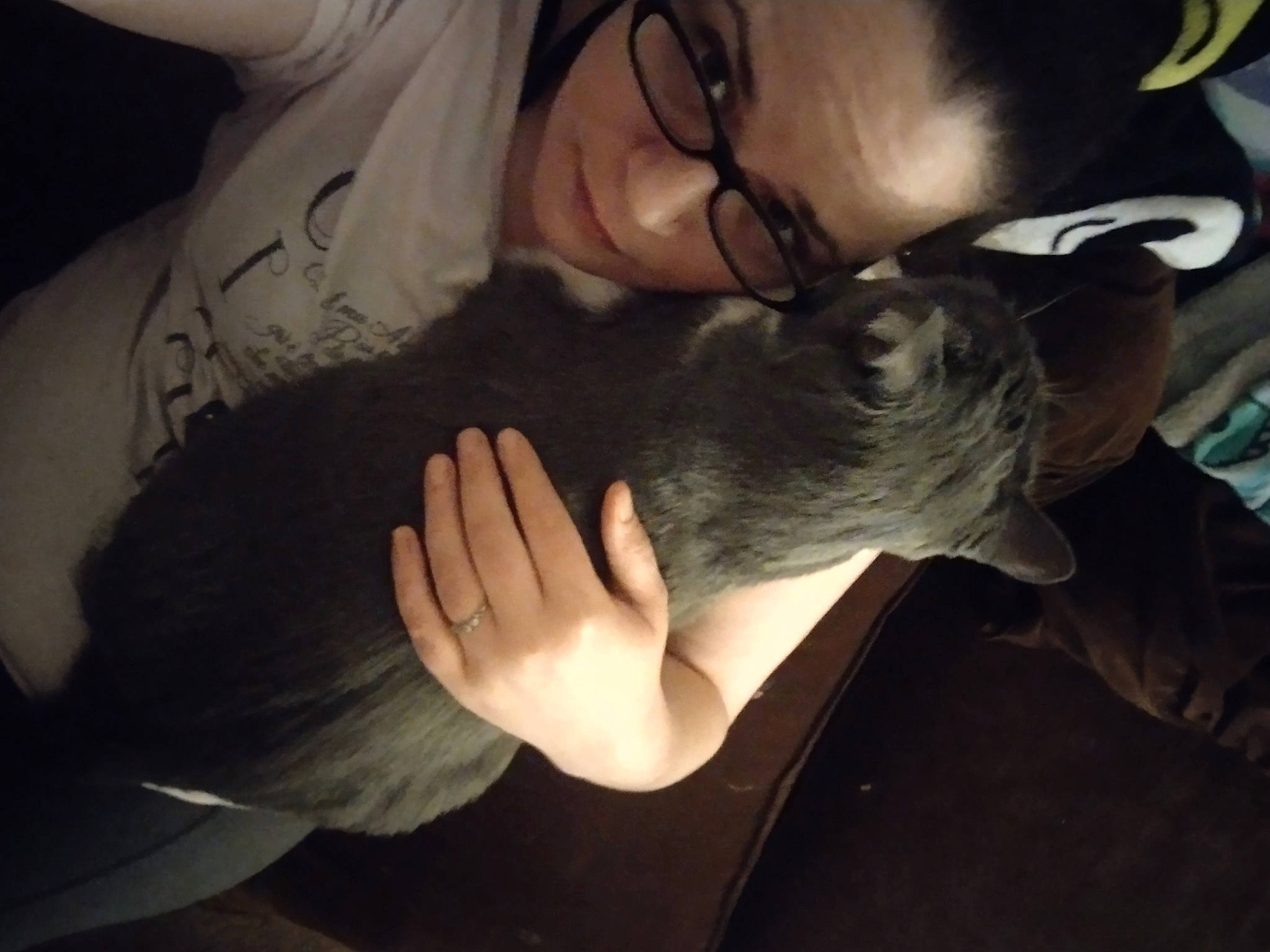 Desmond joined the competition — help win amazing prizes! beard, canidae, carnivore, comfort, companion_dog, dog_breed, ear, eyewear, fawn, felidae, finger, fur, gesture, happy, human_leg, lap, nail, small_to_medium_sized_cats, vision_care, whiskers