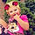 Savannah
