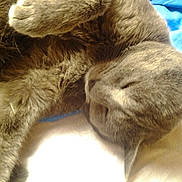 Halaska a rejoint le concours — aidez-le/la à gagner de superbes lots !