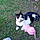 Patxi