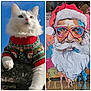 Lisette participe au concours pour gagner de l'argent avec cette photo : artwork, beard, blue_sky, cat, christmas_sweater, colorful_painting, face_painting, festive, festive_art, glasses, holiday, holiday_theme, mustache, outdoor, painted_santa, reflection, rock, santa_claus, white_cat, window