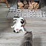 animal, architecture, building, canine, cat, chair, dog, fire, fireplace, furniture, hardwood, hearth, hound, indoors, interiordesign, kitten, livingroom, pet, room, wood