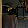dog, black_dog, pet, sleeping, resting, chair, furniture, indoor, dim_lighting, living_room, pizza_hat, costume, funny, cute, relaxed, animal, canine, portrait, home, carpet