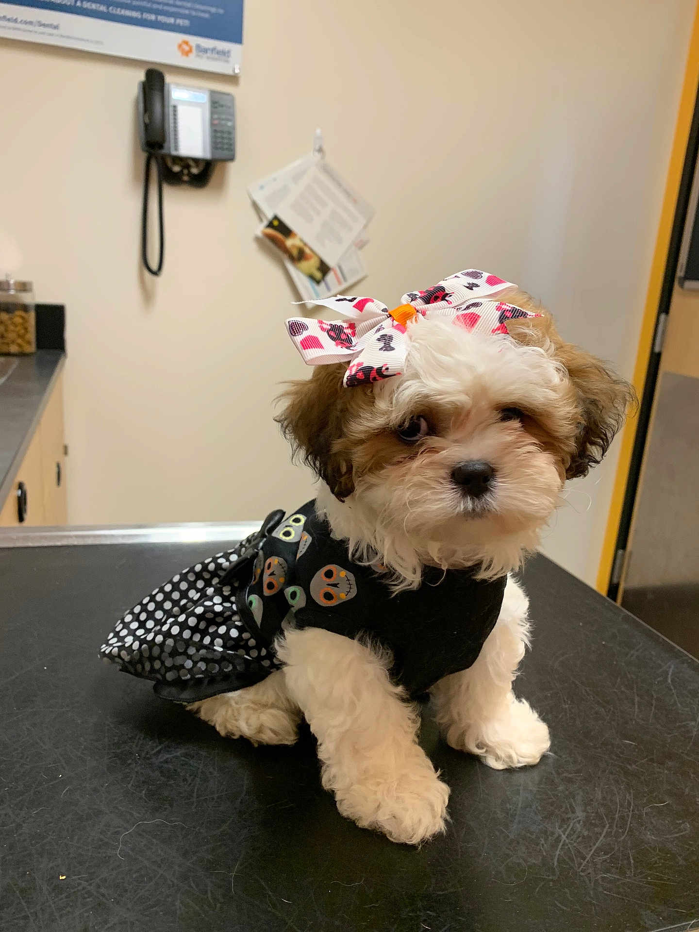 Roxie