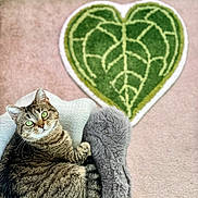 Athena joined the competition — help win amazing prizes! cat, tabby, green_eyes, pet_bed, plush_bed, carpet, leaf_rug, indoor, cozy, relaxed, fur, whiskers, animal, cute, domestic_cat, resting, curled_up, soft_texture, floor, home