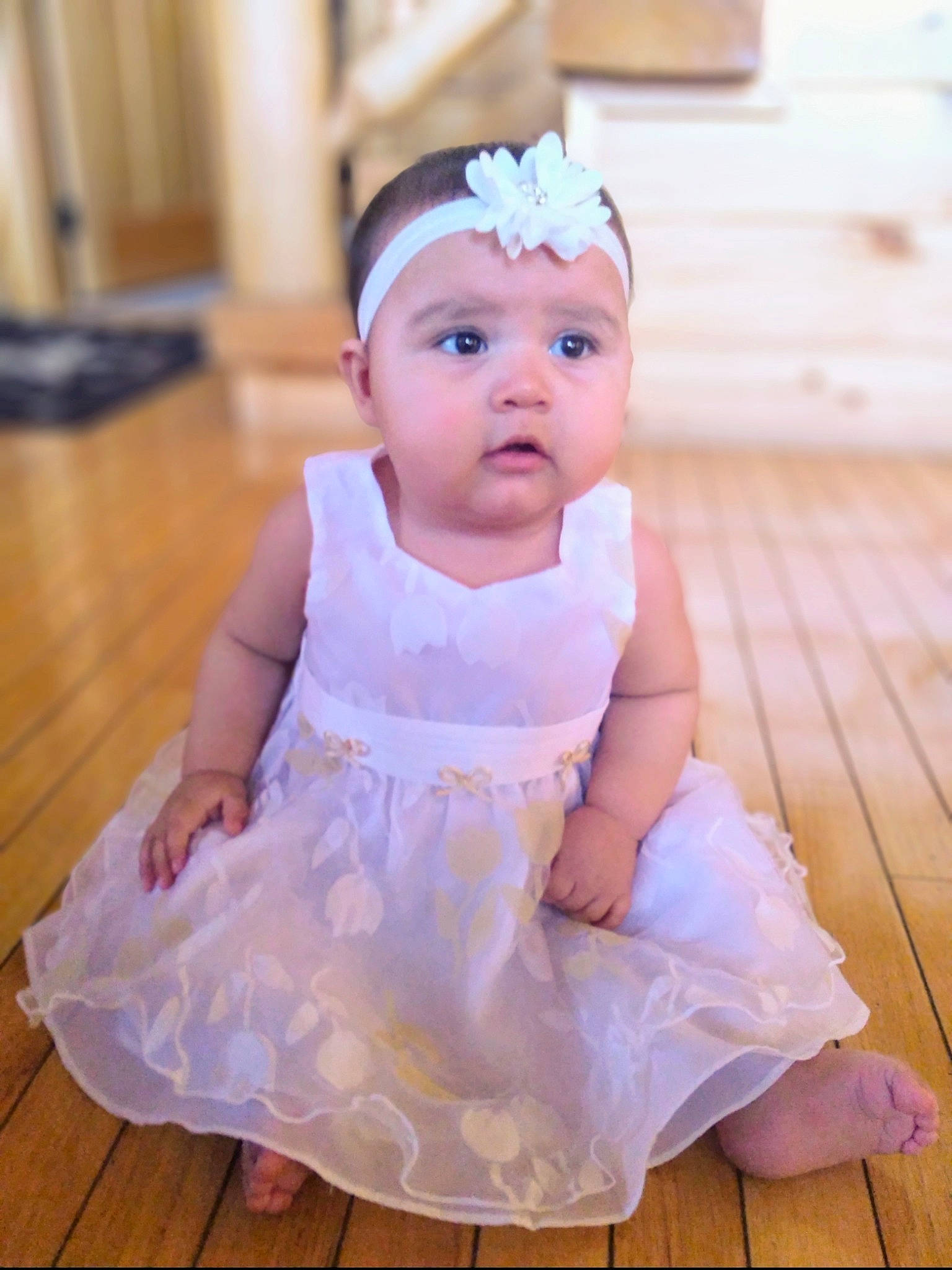 Mia Marie joined the competition — help win amazing prizes! baby, baby_toddler_clothing, bridal_accessory, child, dress, embellishment, event, flash_photography, flooring, happy, hardwood, headband, headgear, headpiece, headwear, iris, jewellery, person, purple, toddler
