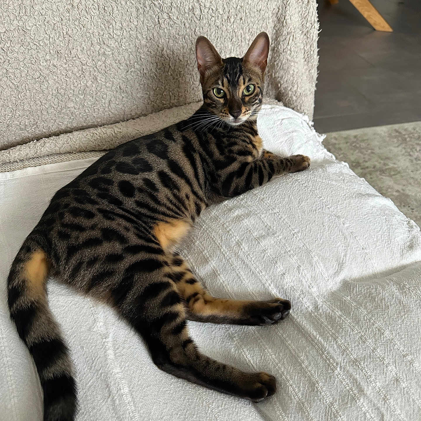 Wanda