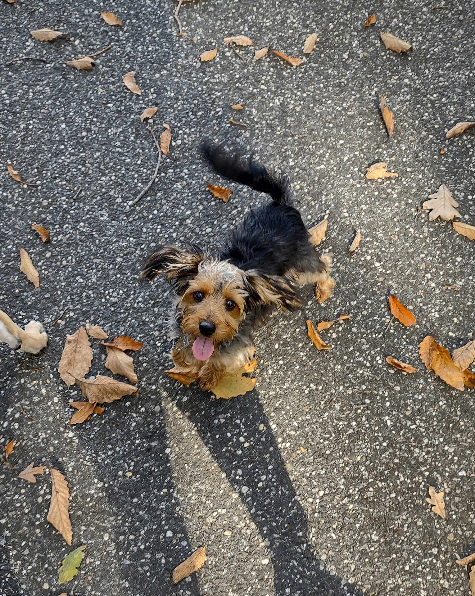Charlie