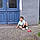 Yassine
