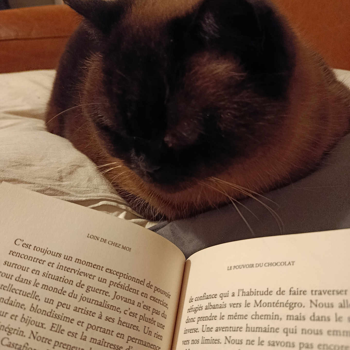 Mélusine
