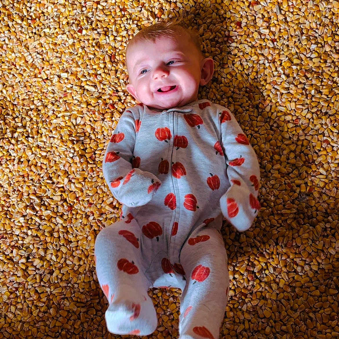 Meridith joined the competition — help win amazing prizes! baby, infant, child, smiling, happy, lying_down, portrait, face, eyes, mouth, onesie, clothing, pumpkin_pattern, red_pattern, blanket, textured_background, golden, corn_kernels, indoor, close_up