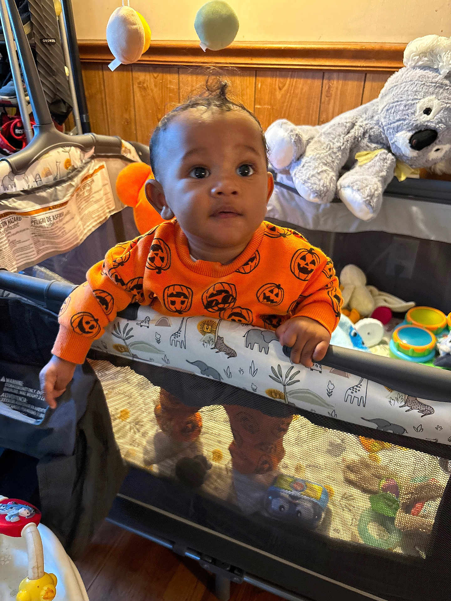Kingston is registered to the contest to win money with this photo: baby, child, playpen, toy, stuffed_animal, orange_sweater, indoor, wood_paneling, curious, standing, infant, face, hand, floor, plush_toy, colorful_toys, closeup, expression, home, cute