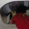 Tripp is registered to the contest to win money with this photo: cat, tabby_cat, dryer, laundry, clothes, indoor, household, curious, cozy, pet, domestic, textile, fabric, red_clothes, black_clothes, metal, appliance, home, animal, resting
