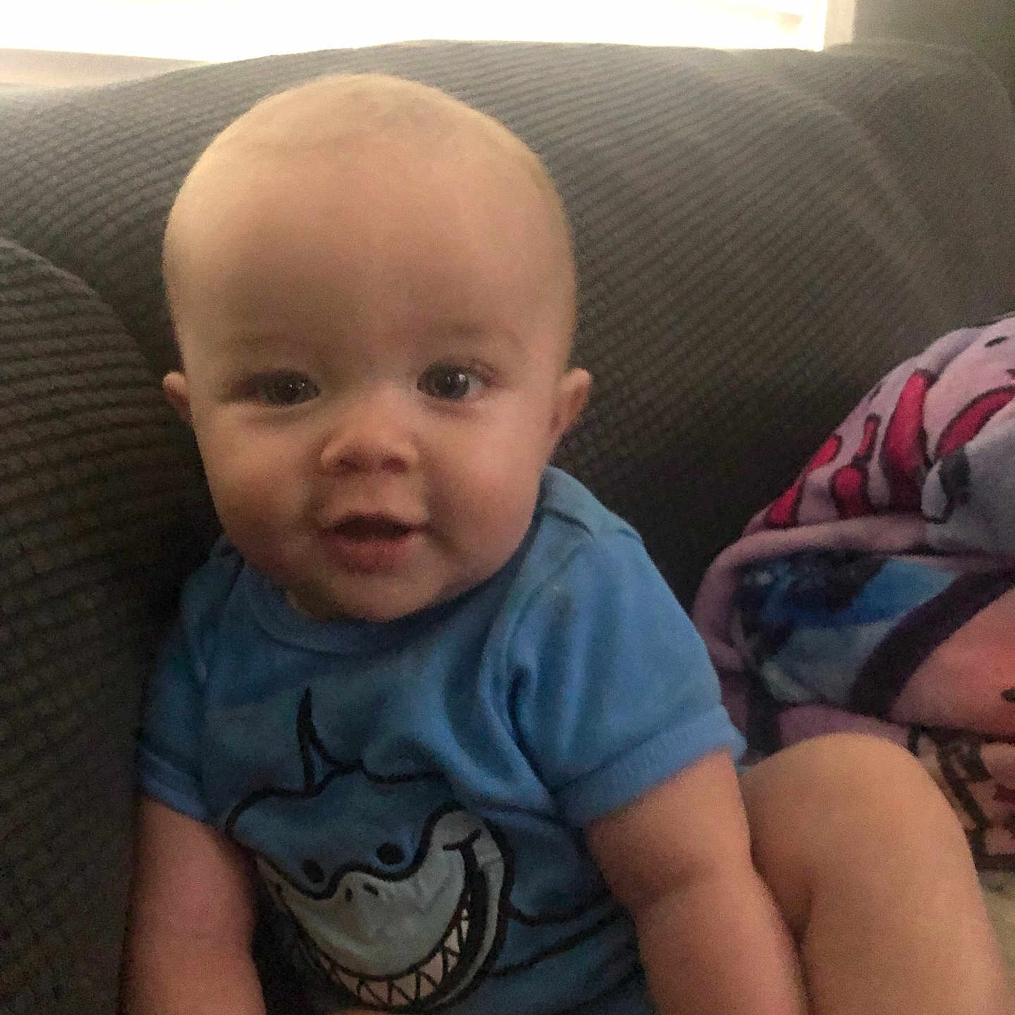 Colsan Ray joined the competition — help win amazing prizes! baby, blanket, blue_onesie, child, couch, cozy, cute, funny_clothing, happy, home, indoor, infant, person, portrait, seated, shark_design, smiling, soft_light, window_light, young_child