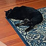 black_cat, cat, pet, lying_down, indoor, rug, blue_rug, wooden_floor, floor, animal, feline, home, cozy, relaxed, domestic, mammal, resting, quiet, fur, whiskers
