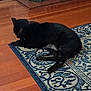 Eclipse joined the competition — help win amazing prizes! black_cat, cat, animal, pet, indoor, rug, patterned_rug, wooden_floor, flooring, miniature_house, decor, resting, lying_down, feline, domestic_animal, cozy, home_interior, quiet, relaxed, sleeping