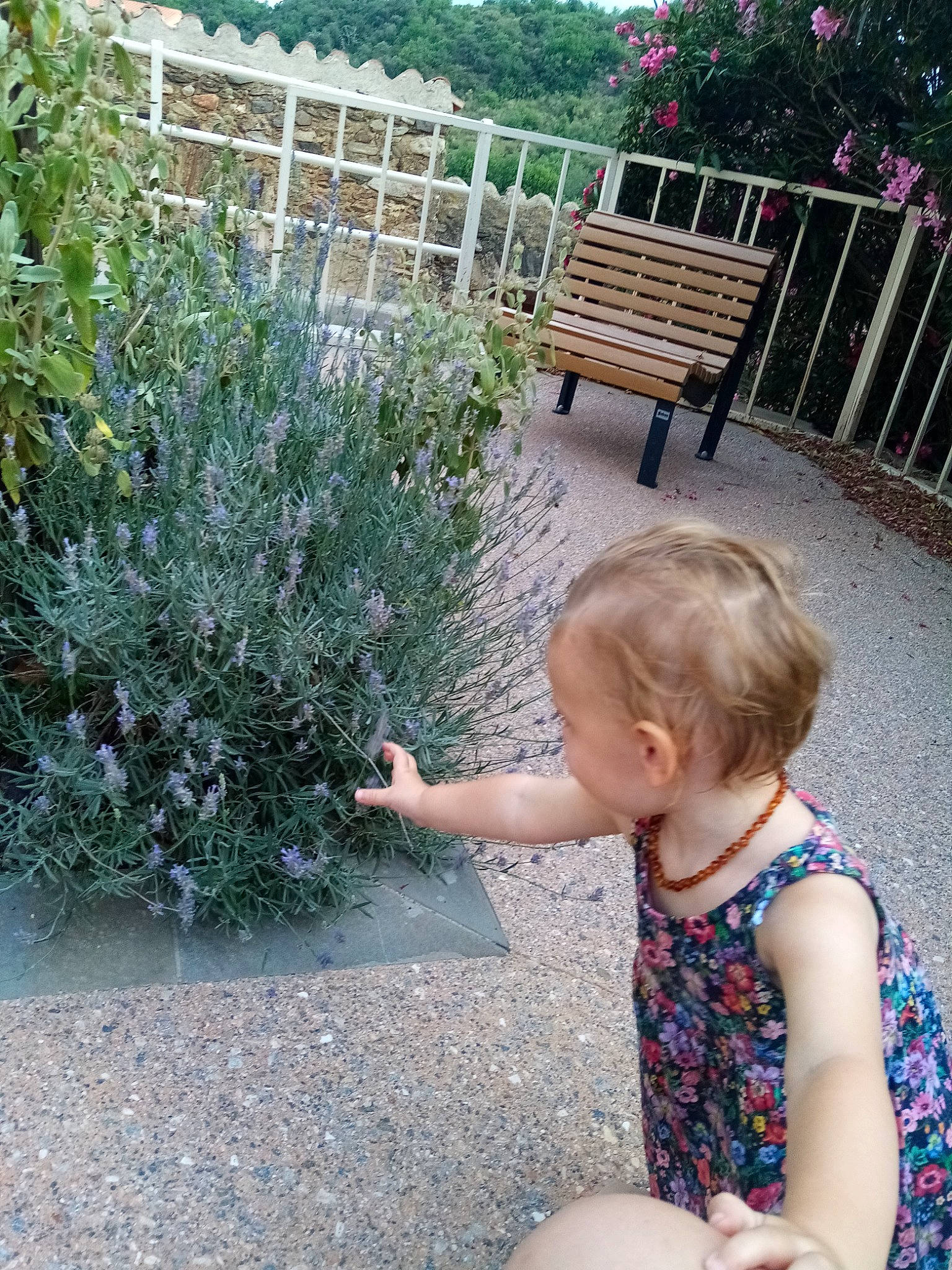 Maïlys participe au concours pour gagner de l'argent avec cette photo : baby, baby_toddler_clothing, bench, evergreen, flower, garden, grass, grass_family, groundcover, hair, landscape, leisure, outdoor_bench, outdoor_furniture, people_in_nature, person, plant, shrub, sitting, t_shirt