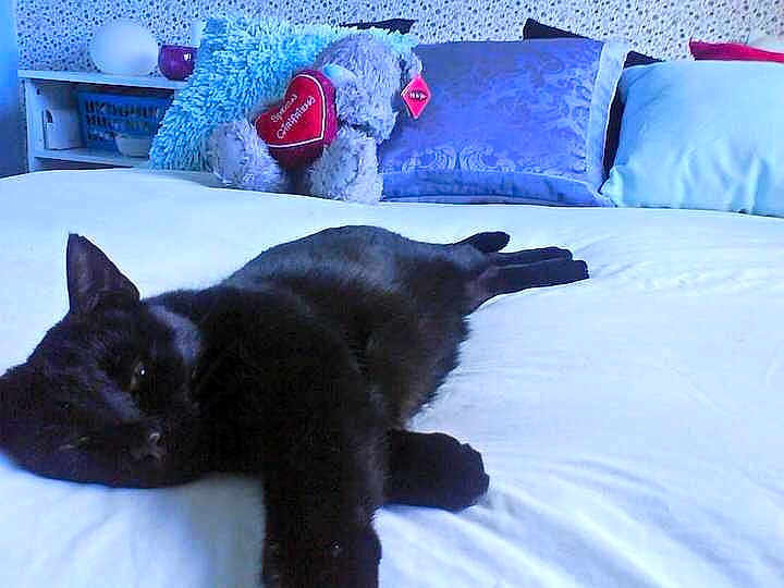 Malcolm joined the competition — help win amazing prizes!