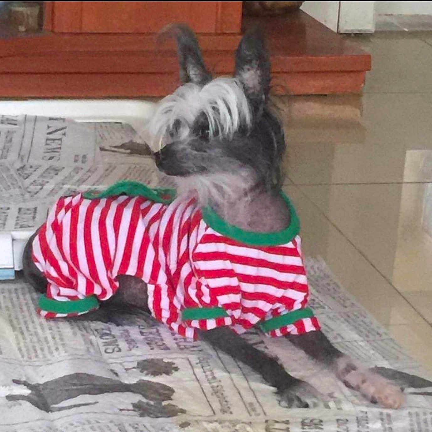 Frida