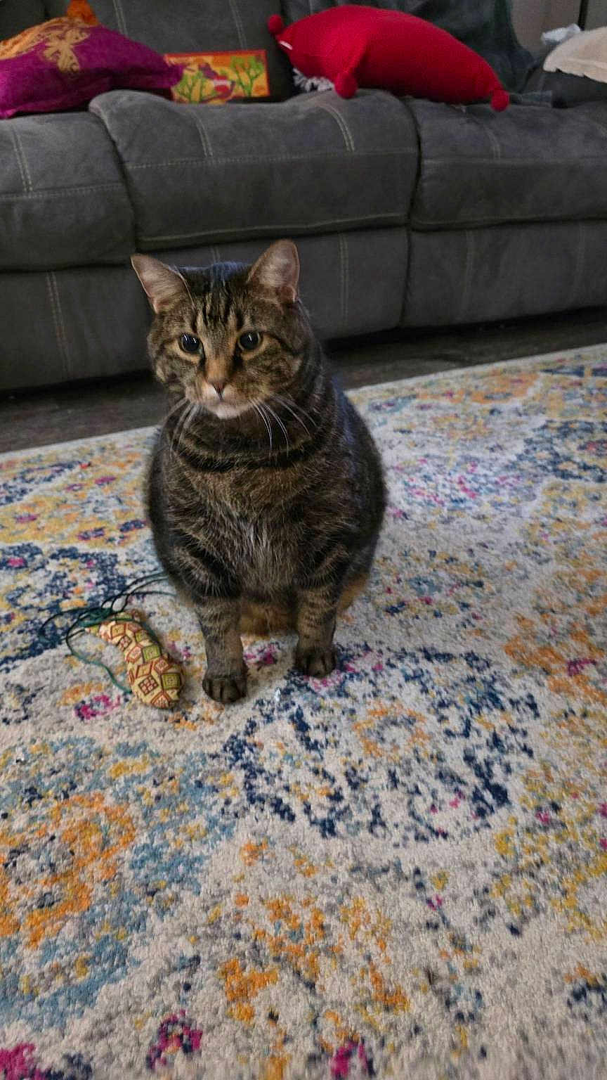Max