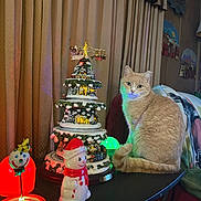 Lucky Lou is registered to the contest to win money with this photo: cat, orange_cat, table, christmas_decoration, snowman, holiday_lights, indoor, curtains, decoration, festive, ornament, figurine, wall_art, lamp, cozy, furniture, pet, animal, colorful_lighting, holiday
