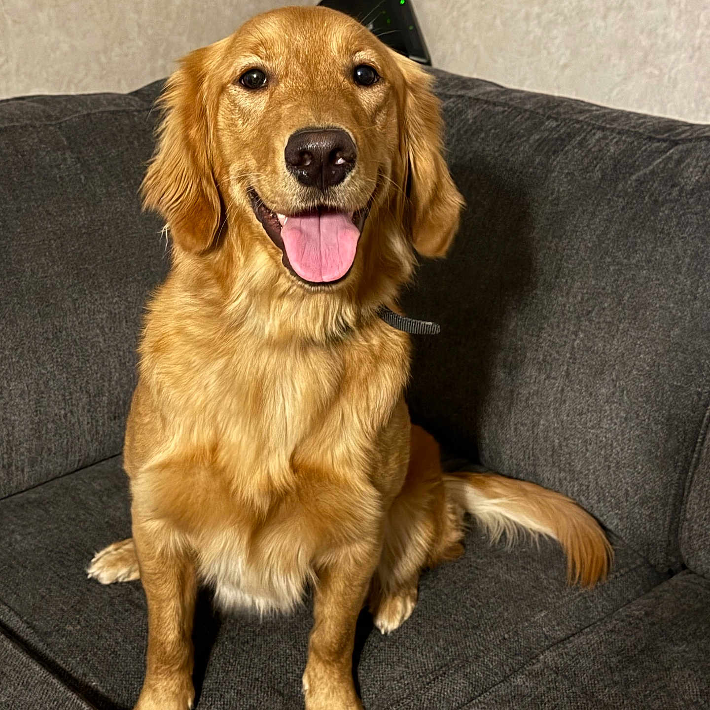 Maggie